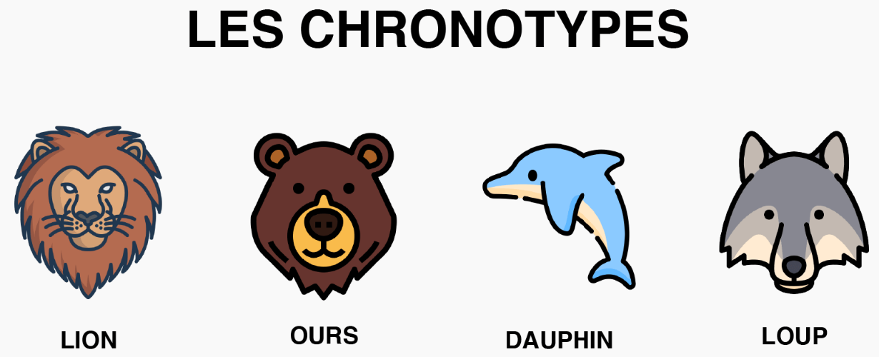 Test chronotypes